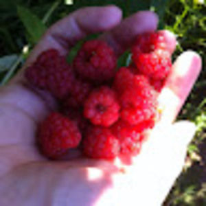 Meet your Posher, Stacey